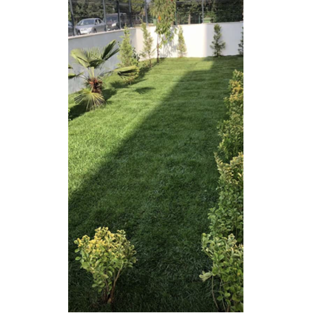 Düzce -  Hazır Rulo Çim ve Bahçe Düzenlemesi