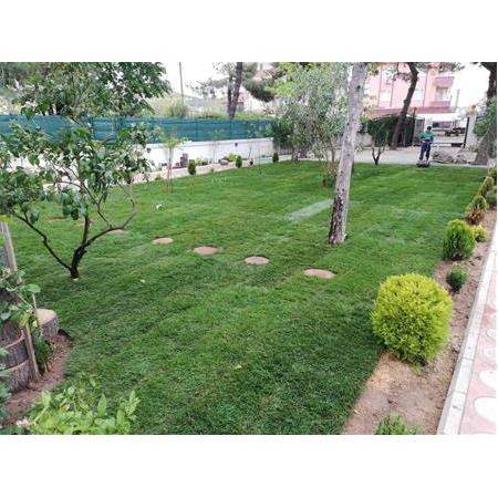 Sakarya Bahçe Düzenleme ve Hazır Rulo Çim
