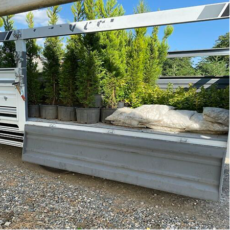 Hazır Rulo Çim Ve Limon Selvi