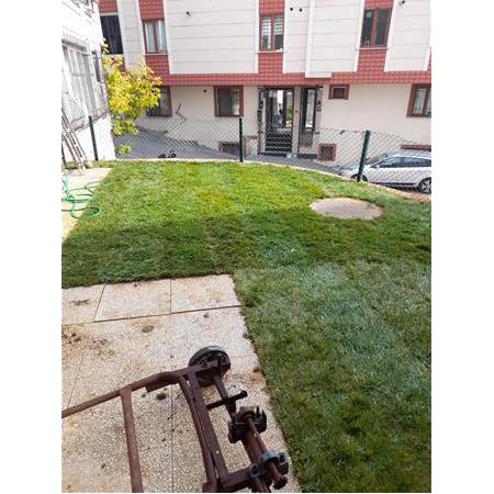 İstanbul - Eyüp Hazır Çim Uygulaması