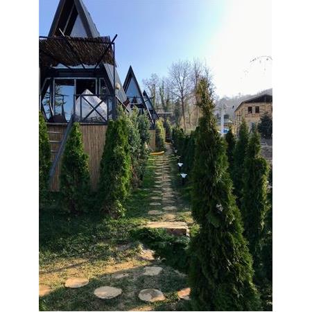 Sapanca Bungalov Peyzaj